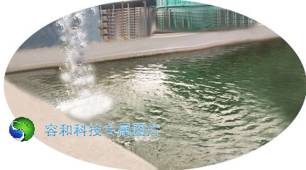 香港全年正版免费资料大全