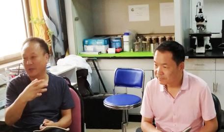 香港全年正版免费资料大全