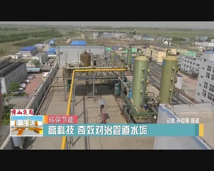 香港全年正版免费资料大全