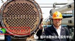香港全年正版免费资料大全