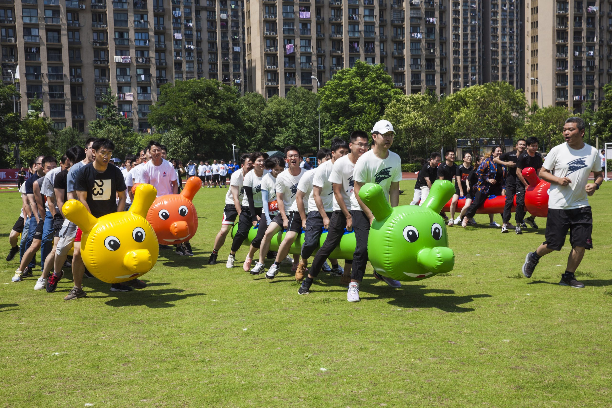 香港全年正版免费资料大全