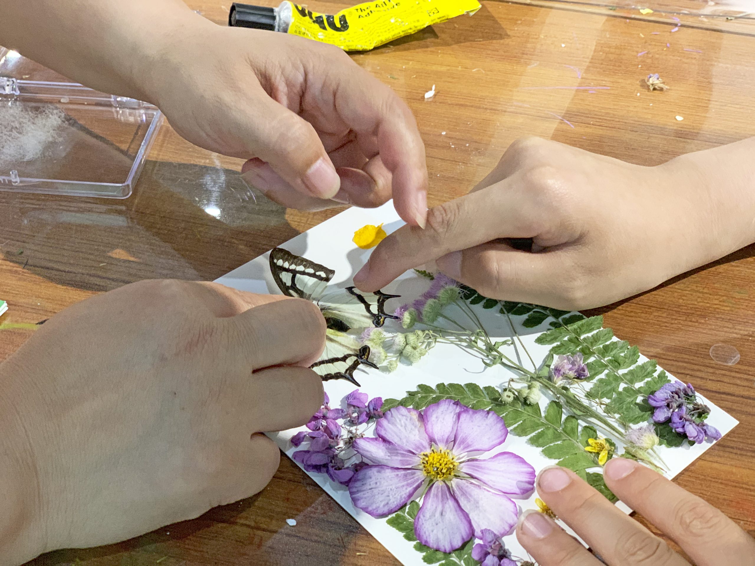 香港全年正版免费资料大全
