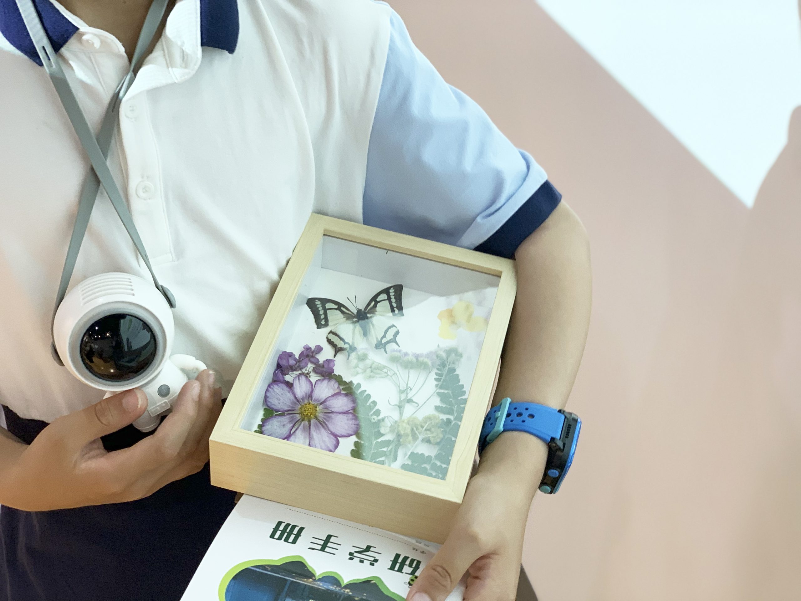 香港全年正版免费资料大全