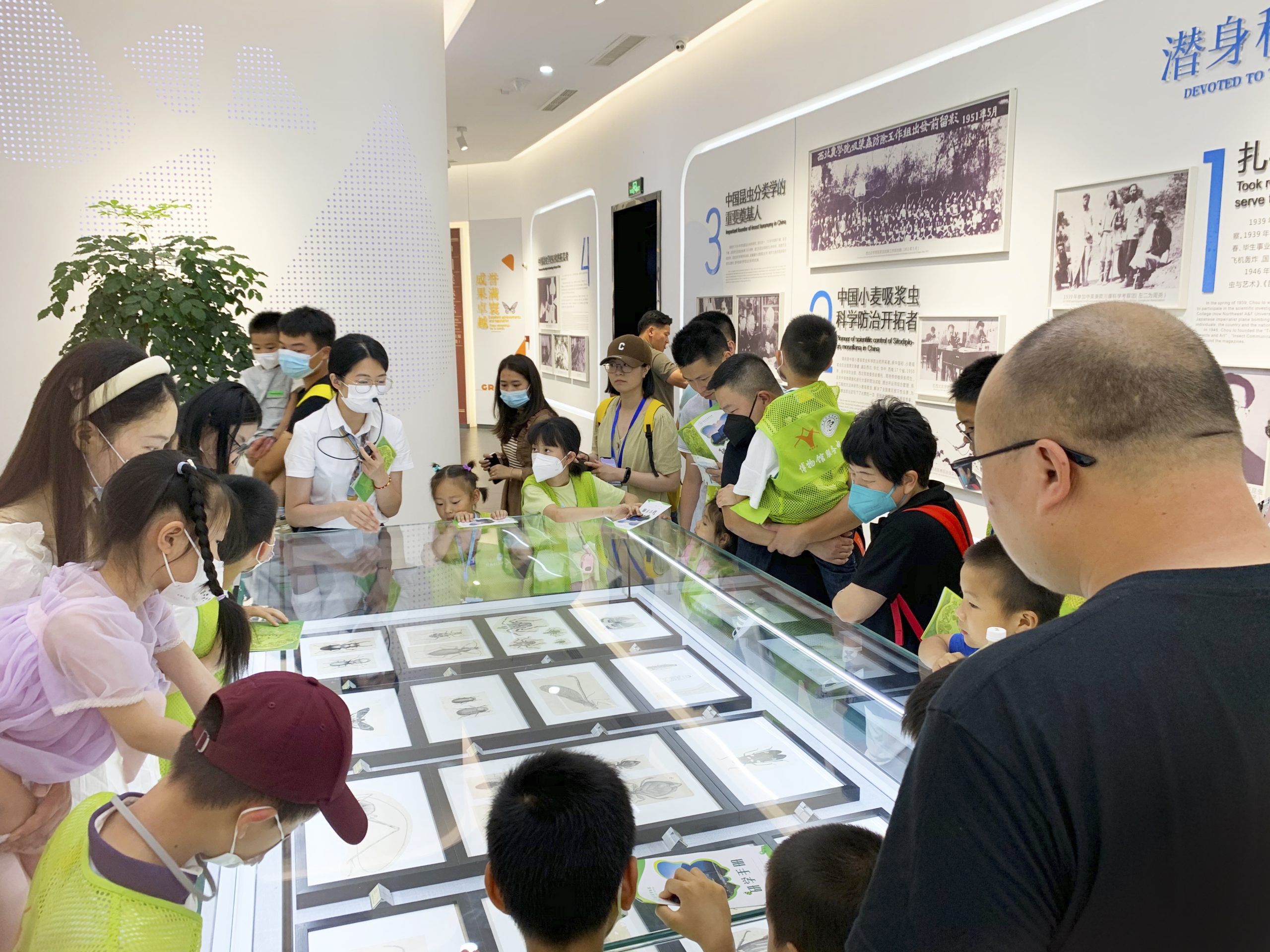 香港全年正版免费资料大全