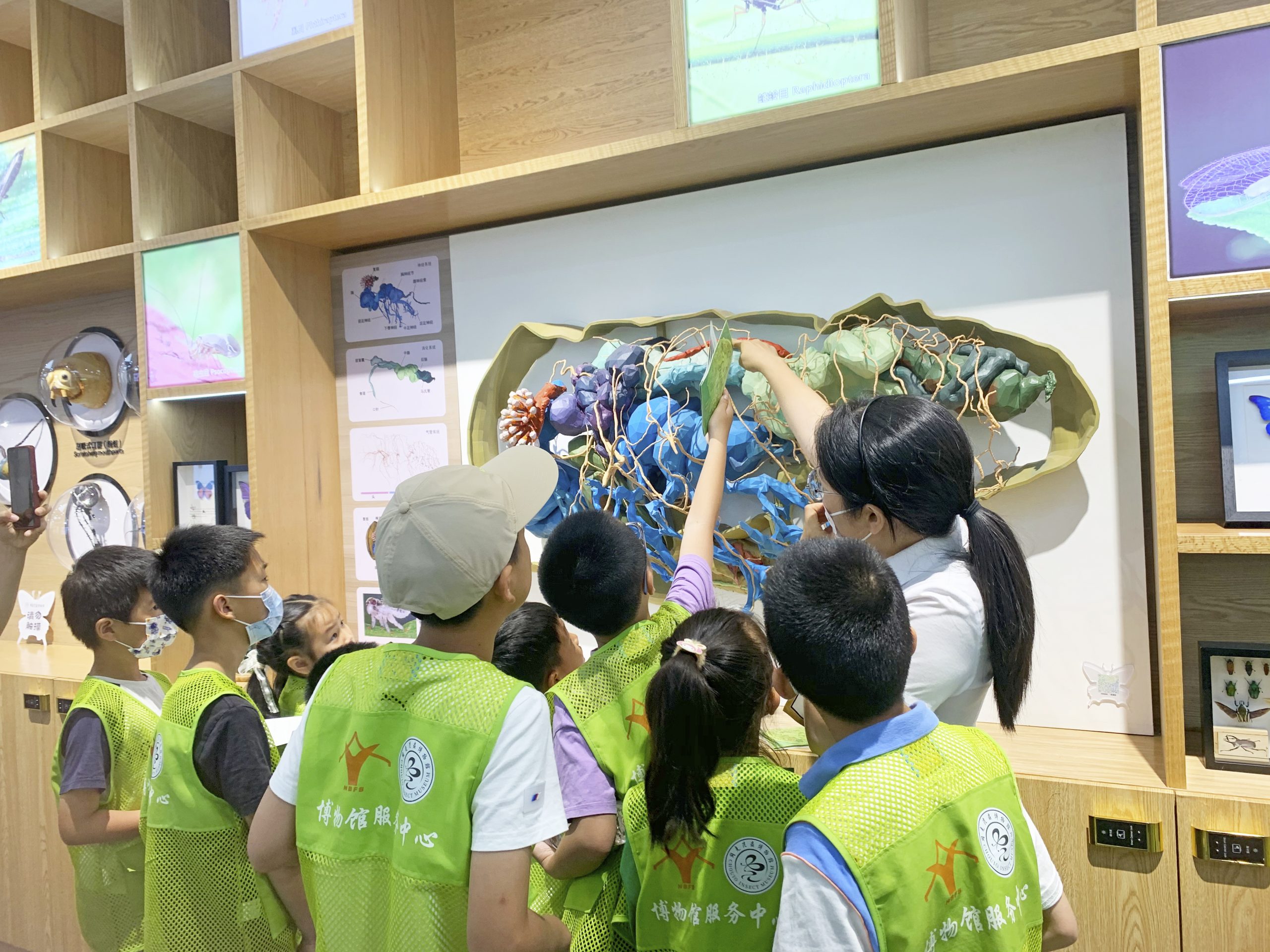 香港全年正版免费资料大全