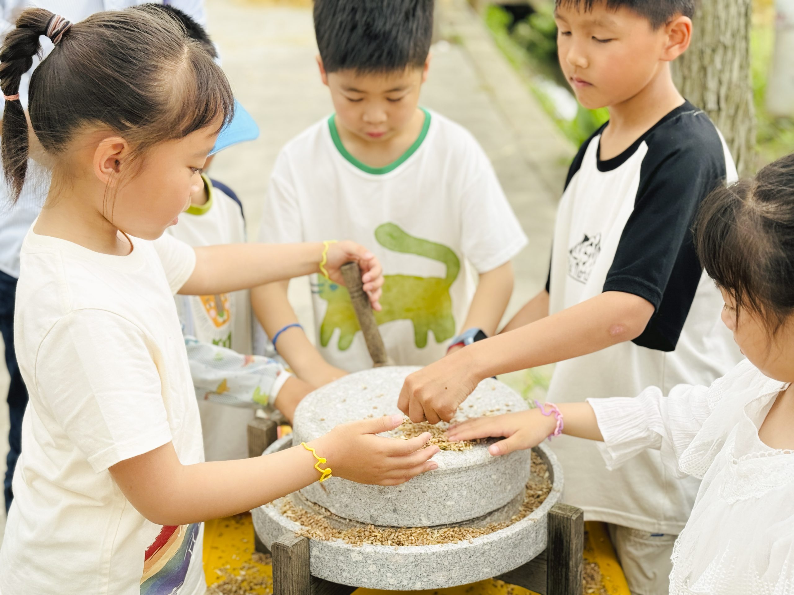 香港全年正版免费资料大全